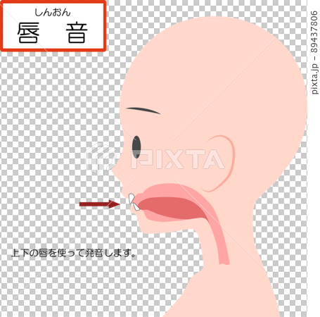 Chinese pronunciation learning [labial consonant] 89437806
