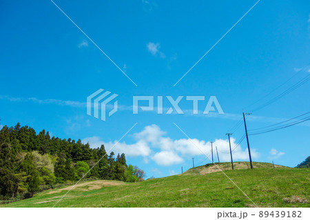 六呂師高原の電柱【爽やかな高原の風景】 89439182