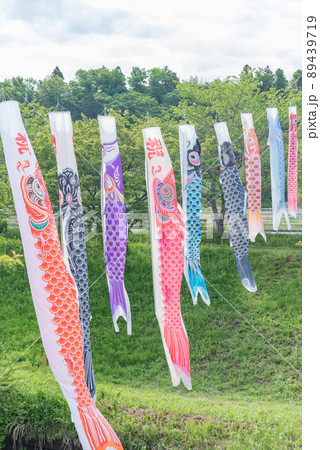 千葉県市原市瀬又の鯉のぼり 89439719