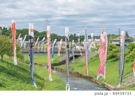 千葉県市原市瀬又の鯉のぼり 89439735