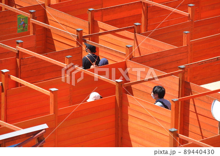 郊外の観光施設・巨大迷路 89440430