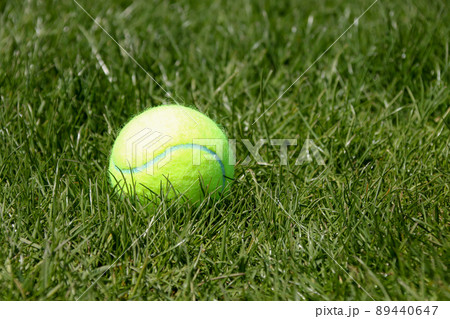 テニスボール, 球, スポーツ, テニス, 球技, ボール, 運動, 玉, コート, 試合, 趣味 89440647