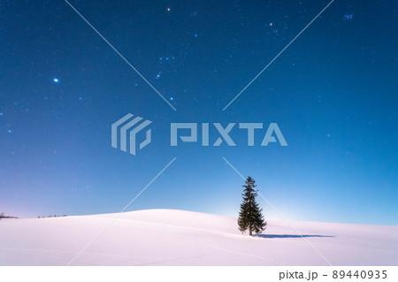 《北海道》星空とクリスマスツリーの木・冬の美瑛 《北海道》星空とクリスマスツリーの木・冬の美瑛 89440935