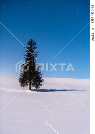 《北海道》星空とクリスマスツリーの木・冬の美瑛 89440948