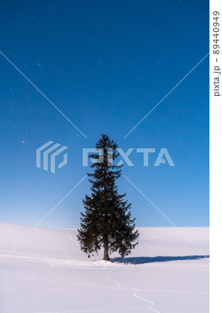 《北海道》星空とクリスマスツリーの木・冬の美瑛 89440949