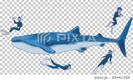 享受在海中浮潛的男女 3 89442399