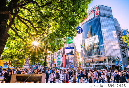 日本の東京都市景観 新系統国内初確認・オミクロン株XEとは別系統。新緑の渋谷は驚愕の人流＝4月28日 89442498