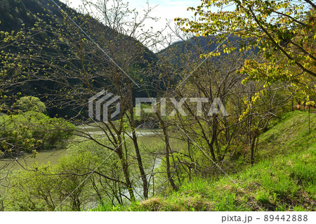 道の駅 飛騨たかね工房 道の駅 飛騨たかね工房 89442888