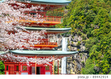《和歌山県》那智滝と三重塔・春の那智山 89442914