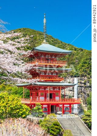 《和歌山県》那智滝と三重塔・春の那智山 89442921