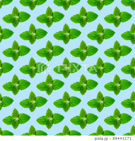 Seamless pattern of fresh mint leaves on blue background 89443271