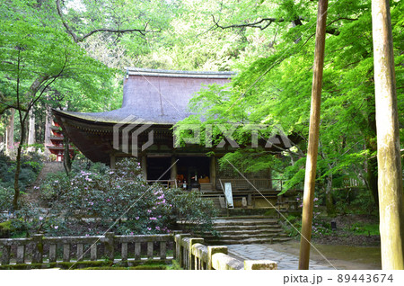 新緑の室生寺 本堂 新緑の室生寺 本堂 89443674