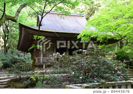 新緑の室生寺 本堂 新緑の室生寺 本堂 89443676
