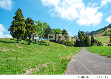 六呂師高原　自然豊かな草原の風景 89444015