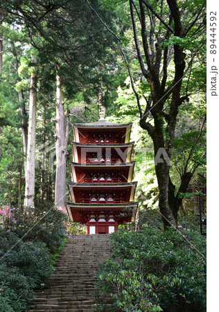 新緑の室生寺 五重塔 新緑の室生寺 五重塔 89444592