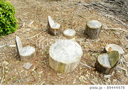 森のダイニング 89444976