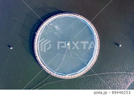 Aerial view of fish farm in County Donegal - Ireland 89446253