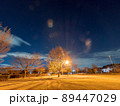 夜の公園 89447029