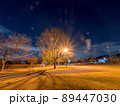 夜の公園 89447030