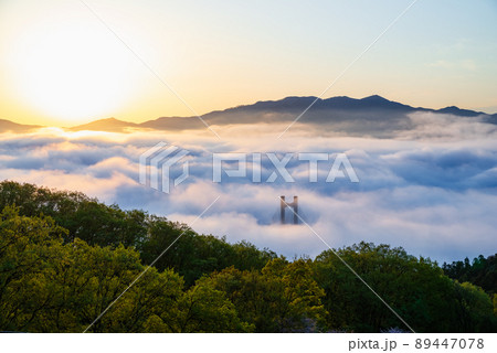 秩父雲海 89447078