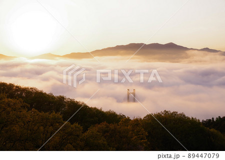 秩父雲海 89447079