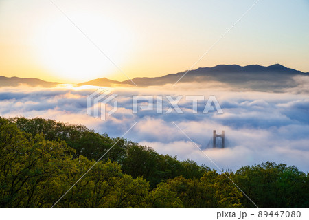 秩父雲海 89447080