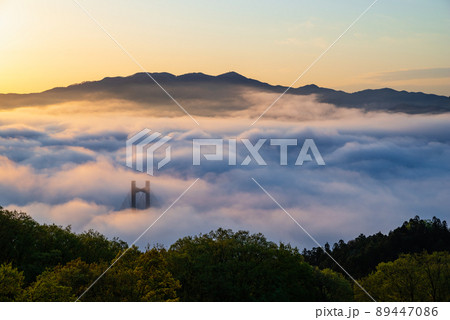 秩父雲海 89447086
