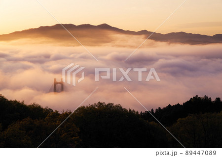 秩父雲海 89447089