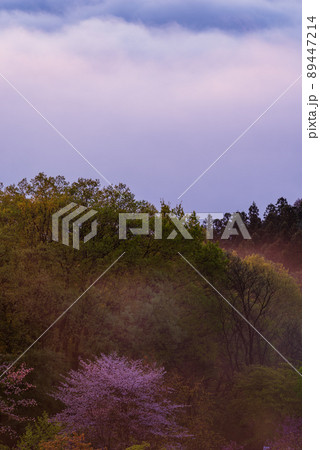 秩父雲海 89447214