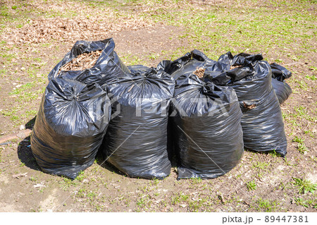 Plastic garbage bags with last year's foliage at the city park 89447381