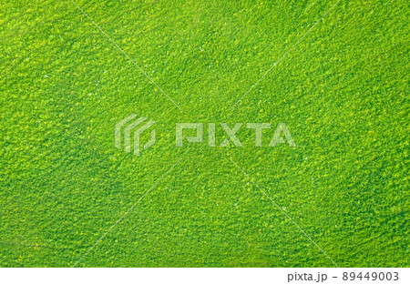 Light green grass in a meadow, drone view from directly above 89449003