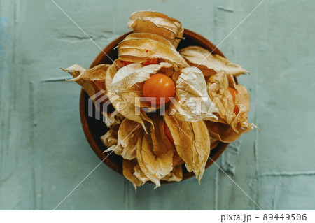 some groundcherries with their husks some groundcherries with their husks 89449506