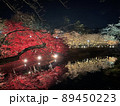 ライトアップされた逆さ紅葉 89450223