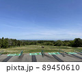 青空の屋外ゴルフ打ちっぱなし練習場 89450610