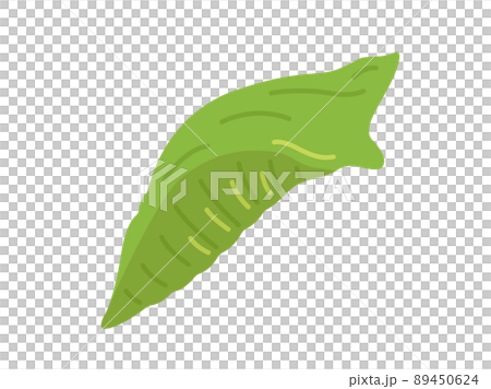 燕尾蛹圖 89450624