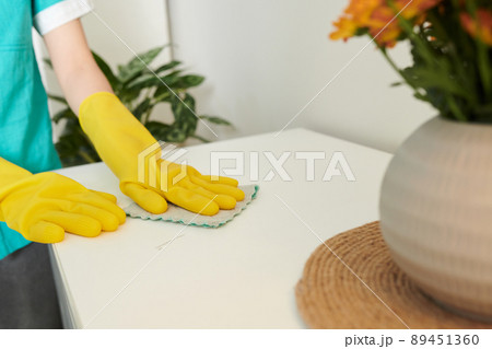 Cleaner Disinfecting High-touch Areas 89451360