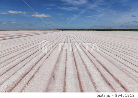 Salt lagoon,Dunaliella salina coloration, La Pampa, Argentina Salt lagoon,Dunaliella salina coloration, La Pampa, Argentina 89451918