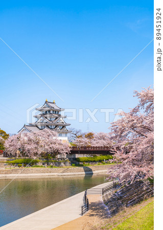 春の墨俣一夜城、満開の桜〈岐阜県大垣市〉 春の墨俣一夜城、満開の桜〈岐阜県大垣市〉 89451924