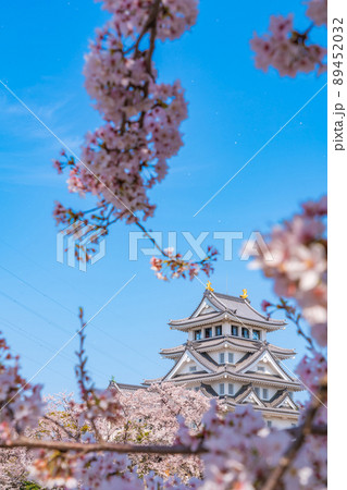 春の墨俣一夜城、満開の桜〈岐阜県大垣市〉 春の墨俣一夜城、満開の桜〈岐阜県大垣市〉 89452032