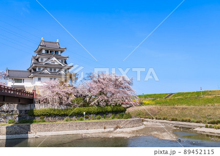 春の墨俣一夜城、満開の桜〈岐阜県大垣市〉 春の墨俣一夜城、満開の桜〈岐阜県大垣市〉 89452115