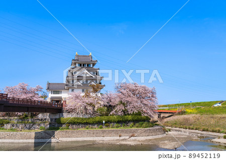 春の墨俣一夜城、満開の桜〈岐阜県大垣市〉 春の墨俣一夜城、満開の桜〈岐阜県大垣市〉 89452119