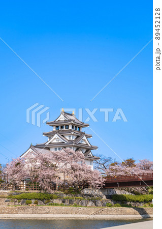 春の墨俣一夜城、満開の桜〈岐阜県大垣市〉 春の墨俣一夜城、満開の桜〈岐阜県大垣市〉 89452128