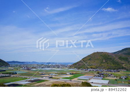 瀬戸大橋を遠方に望む(香川県坂出市五色台) 瀬戸大橋を遠方に望む(香川県坂出市五色台) 89452202
