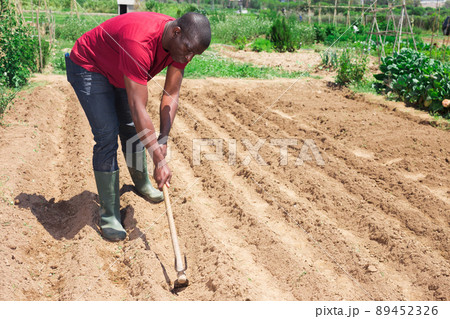 African american man professional horticulturist with garden shovel 89452326