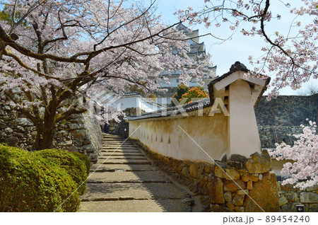 世界遺産姫路城で満開の桜の中、将軍坂を歩く 89454240