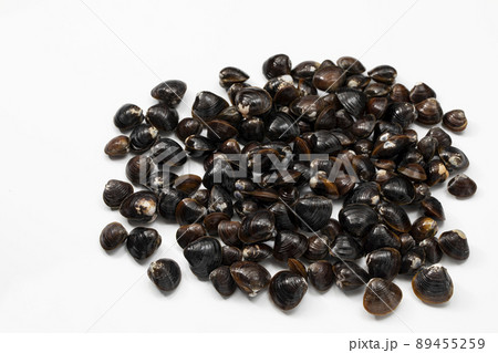 白バックのしじみ 89455259