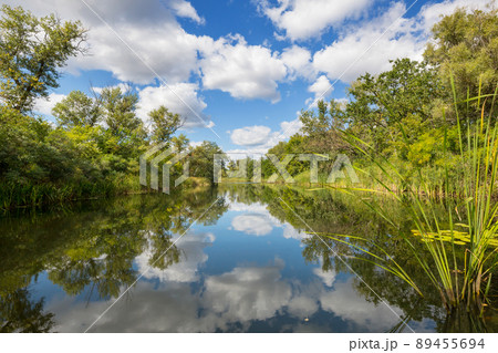 Summer river 89455694
