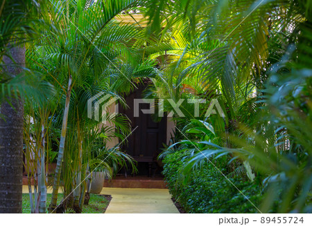 In garden 89455724