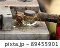 Car battery terminal covered with oxide. Car repair. Battery replacement. 89455901