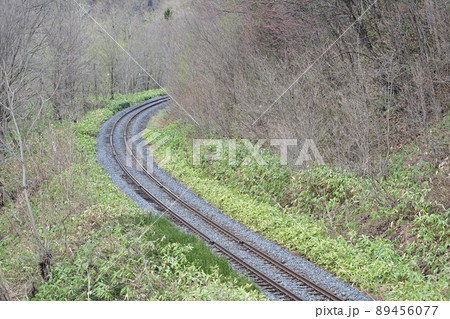 宗谷本線　智恵文ー日進　JR北海道　261系5000番台　ST-5202編成（苗穂）　サロベツ　 89456077